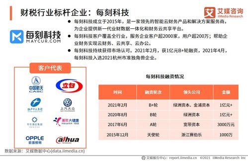 2021上半年中國財稅類企業服務專題研究報告 社會經濟咨詢服務的發展趨勢與挑戰